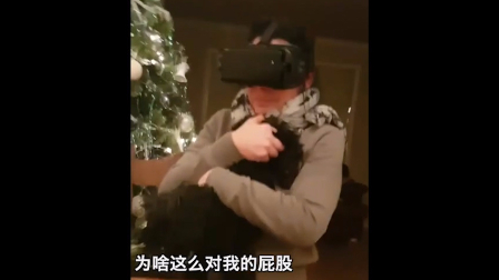 狗:谁抱我屁股,到底发生了什么?